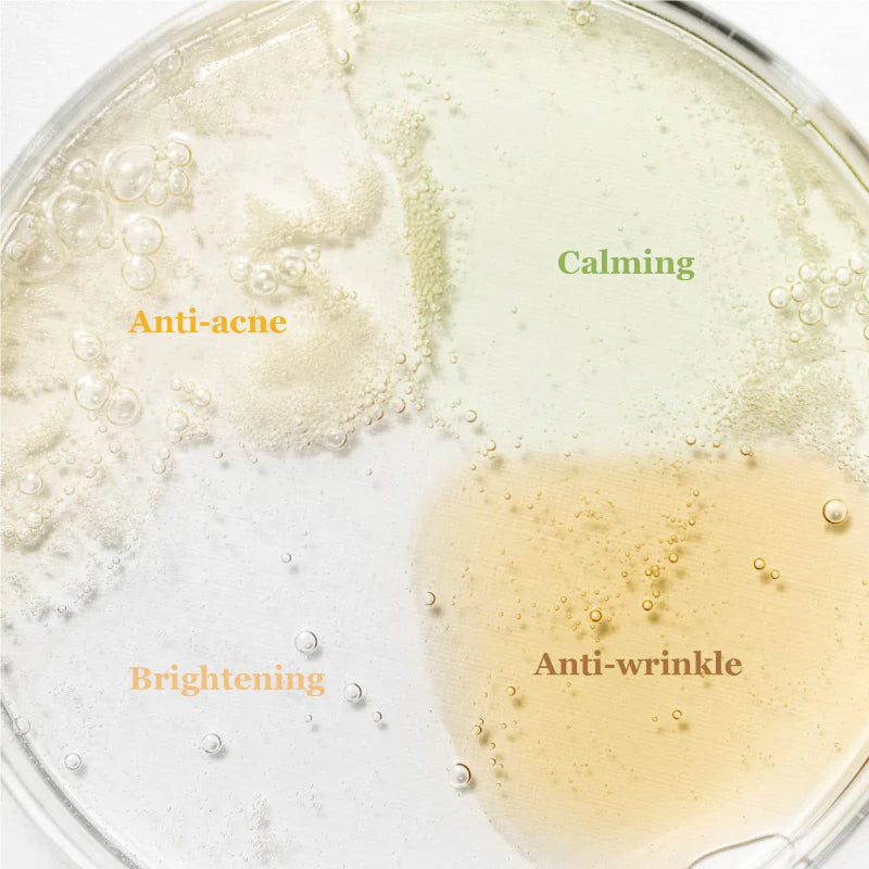 BEAUTY OF JOSEON HANBANG SERUM DISCOVERY KIT